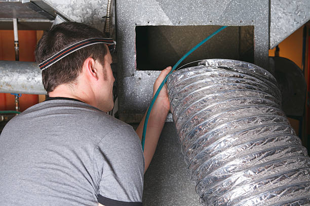 Best Dryer Vent Cleaning Services  in Lake Alfred, FL